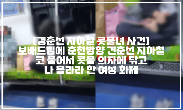 [경춘선 지하철 콧물녀 사건] 보배드림에 춘천방향 견춘선 지하철 코 풀고 콧물 의자에 닦은 후 나 몰라라 한 여성 (+지하철 콧물녀 사진, 지하철 콧물녀 사건, 보배드림 지하철 콧물녀, 보배드림 경춘선 지하철 콧물녀,평내호평역 콧물녀, 춘천 방향 지하철 콧물녀, 콧물녀 사진, 콧물녀 누구) 