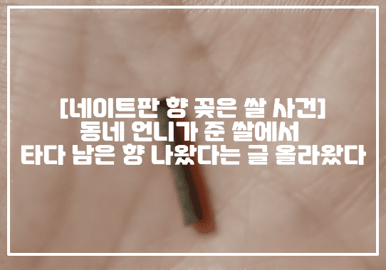 [네이트판 향 꽂은 쌀 사건] 동네 언니가 준 쌀에서 타다 남은 향 나왔다는 글 올라왔다 (+네이트판 글 링크, 사건사진, 네이트판 강제로 제게 준 쌀을 돌려줬는데 너무 소름돋아요, 네이트판 향 꽂은 쌀, 네이트판 제사 때 쓴 쌀 사건, 네이트판 동네 언니한테 받은 쌀 이물질)