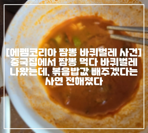 [에펨코리아 짬뽕 바퀴벌레 사건] 중국집에서 짬뽕 먹다 바퀴벌레 나왔는데, 볶음밥값 빼주겠다는 사연 전해졌다 (+사건결과, 사건정리, 사건사진, 짬뽕사진, 에펨코리아 식당에서 밥먹는데 짬뽕국물에서 바퀴나옴, 짬뽕국물 바퀴벌레, 짬뽕 바퀴벌레, 에펨코리아 바퀴벌레)
 