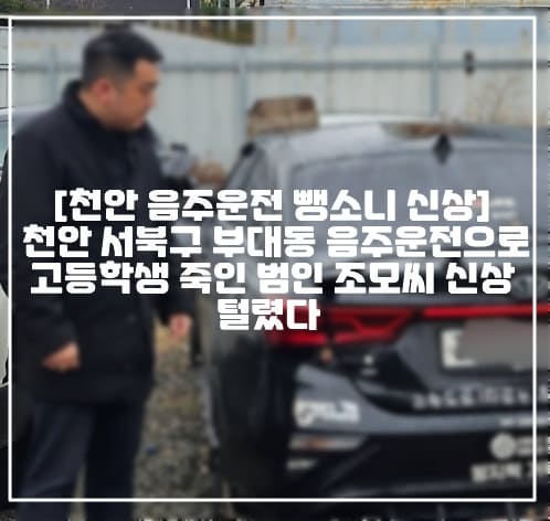 [천안 음주운전 뺑소니 신상] 천안 서북구 부대동 음주운전으로 고등학생 죽인 범인 조모씨 신상 털렸다 (+카라큘라 천안 음주운전 뺑소니, 카라큘라 음주운전 뺑소니, 현장사진, 사건정리, 부대동 만취 음주운전 사망사고, 부대동 만취 음주운전 뺑소니, 천안 무단횡당 고등학생 사망)