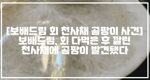 [보배드림 회 천사채 곰팡이 사건] 보배드림, 회 다먹은 후 깔린 천사채에 곰팡이 발견됐다 (+보배드림 글 링크, 사진, 보배드림 잘못 해놓고 뻔뻔한 횟집, 보배드림 뻔뻔한 횟집, 천사채 곰팡이 사건, 횟집 천사채 곰팡이, 보배드림 횟집 곰팡이)