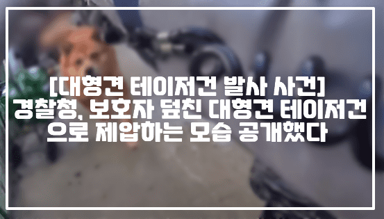 [전남 여수 대형견 테이저건 발사 사건] 경찰청, 여수에서 보호자 덮친 대형견 테이저건으로 제압하는 모습 공개했다 (+경찰청 영상, 사건정리, 전남경찰청 대형견 테이저건 사건, 40kg 대형견 테이저건 발사, 여수 70대 보호자 덮친 대형견, 여수 대형견 테이저건)