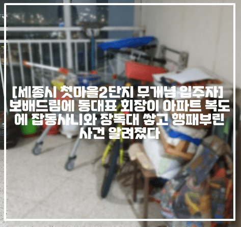 [세종시 첫마을2단지 무개념 입주자 사건] 보배드림에 동대표 회장이 아파트 복도에 잡동사니와 장독대 쌓고 행패부린 사건 알려졌다 (+사건 사진, 링크, 보배드림 세종시 한솔동소재 첫마을2단지 201동 4층 입주자의 무개념상태, 보배드림 첫마을 2단지 무개념 입주자, 보배드림 첫마을2단지 동대표 무개념, 세종시 한솔동 아파트 복도에 장독대)