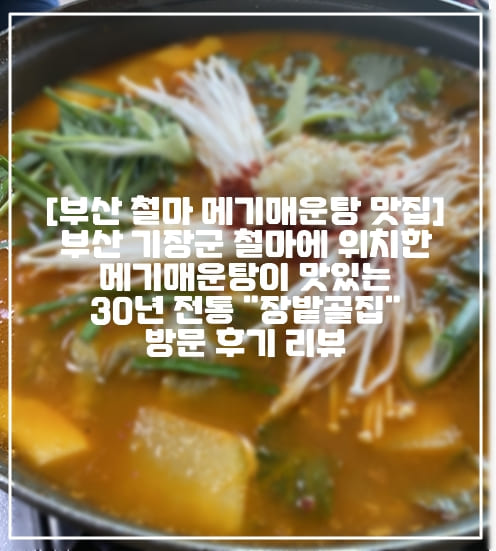 [부산 철마 메기매운탕 맛집] 부산 기장군 철마에 위치한 메기매운탕이 맛있는 30년 전통 "장밭골집" 방문 후기 리뷰 (+주차정보, 부산 기장 철마 맛집 추천, 부산 기장 메기매운탕 맛집 추천, 부산 철마 메기매운탕 맛집 추천, 부산 기장 오리고기 맛집 추천, 부산 철마 오리고기 맛집 추천, 부산 기장 철마 추어탕 맛집 추천)