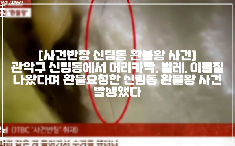 [사건반장 신림동 환불왕 사건] 관악구 신림동에서 머리카락, 벌레, 이물질 나왔다며 환불요청한 신림동 환불왕 사건 발생했다 (+음식사진, 사건정리, 사건반장 관악구 신림동 환불왕 블랙컨슈머, 사건반장 블랙컨슈머, 사건반장 디저트 이물질 환불요청 환불왕, 사건반장 마카롱 환불왕, 사건반장 케이크 환불왕, 사건반장 요거트 머리카락 환불사건)