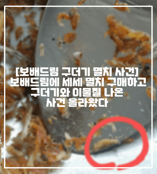 [보배드림 구더기 멸치 사건] 보배드림에 세세 멸치 구매하고 구더기와 이물질 나온 사건 올라왔다 (+멸치 사진, 보배드림 세세멸치 구매하고 구더기 볶음 먹었습니다, 보배드림 구더기 멸치 사건, 세세멸치 구더기 이물질, 세세 멸치 구입했는데 구더기 볶음을 먹었어요, 볶음용 멸치 구더기)