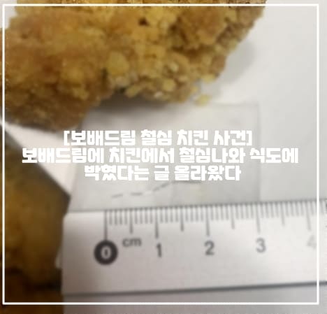 [보배드림 철심 치킨 사건] 보배드림에 치킨에서 철심나와 식도에 박혔다는 글 올라왔다 (+글링크, 보배드림 치킨 철심, 보배드림 [도와주세요] 치킨에서 철심이 나와 식도에 박혔어요!, 보배드림 철심 나온 치킨, 보배드림 치킨에서 철심, 보배드림 순살치킨 철심, 보배드림 치킨 브러쉬 철심)