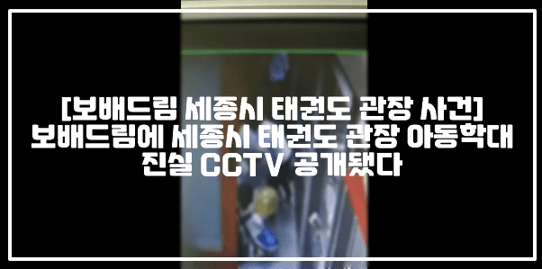 [보배드림 세종시 태권도 관장 사건] 보배드림에 세종시 태권도 관장 아동학대 진실 CCTV 공개됐다 (+보배드림 원글 주소, CCTV 영상, 보배드림 세종시 어린이 폭행하는 미친 태권도 관장새끼, 보배드림 폭격기, 보배드림 어제 초등학생형제의 싸움에 미친새끼가 된 관장입니다, 보배드림 세종시 태권도관장, 보배드림 태권도 관장 아동학대 공방, 보배드림 세종시 태권도 관장 사건)