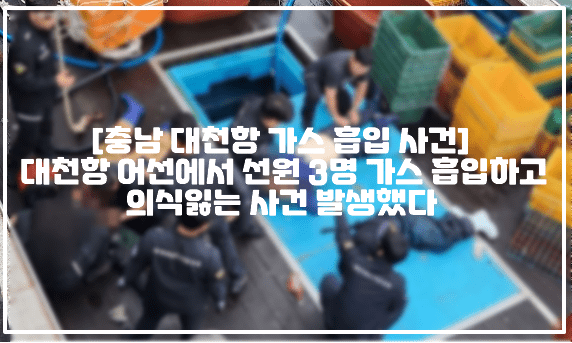 [충남 대천항 가스 흡입 사고] 대천항 어선에서 선원 3명 가스 흡입하고 의식잃는 사건 발생했다 (+현장영상, 현장사진, 대천항 가스흡입, 대천항 선박 가스, 어창 작업 중 가스 흡입, 어선 가스 흡입사고, 대천항 정박어선 가스흡입, 대천항 메탄올 가스, 대천항 프레온가스)