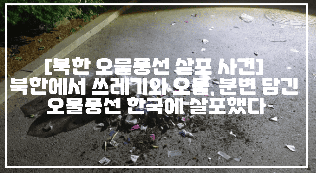 [북한 오물풍선 살포 사건] 북한에서 쓰레기와 오물, 분변 담긴 오물풍선 한국에 살포했다 (+오물풍선 사진, 오물풍선 내용물, 북한 오물풍선 사건, 오물풍선 분뇨, 북한 오물담긴 풍선, 북한 풍선 타이머, 북한 대남전단 살포, 북한 대남 전단 풍선 살포, 북한 쓰레기풍선 사건, 북한 휴지짝 오물짝 풍선)