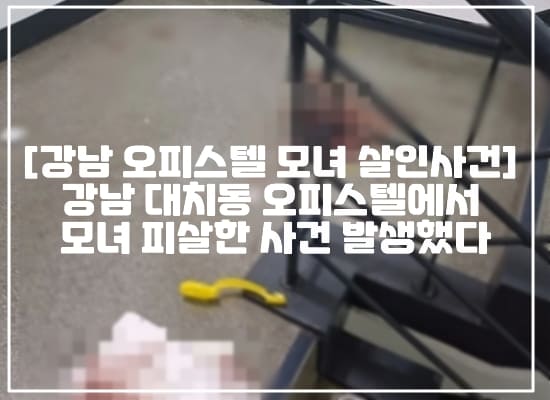 CCTV영상, 가해자 누구, 사건반장 강남 모녀 살인사건 피의자 체포, 대치동 오피스텔 모녀 살인, 대치동 오피스텔 모녀 살인, 오피스텔 모녀 살인사건 남태령역, 강남 모녀 살인사건, 강남 모녀 살인범, 강남 오피스텔 모녀 살해, 강남 오피스텔 칼부림 사건, 강남 대치동 오피스텔 칼부림사건