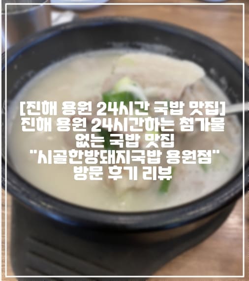 [진해 용원 24시간 국밥 맛집 추천] 진해 용원 24시간하는 첨가물 없는 국밥 맛집 "시골한방돼지국밥 용원점" 방문 후기 리뷰 (+주차장 정보, 내부사진, 진해 24시간 국밥 맛집, 창원 진해 24시간 국밥 맛집 추천, 용원 시골한방돼지국밥 후기, 용원 국밥 맛있는 곳 추천, 진해 용원 늦게까지 하는 식당 추천, 진해 용원 24시간 밥집 추천, 진해 돼지국밥 맛집 추천, 진해 용원 돼지국밥 맛집, 진해 용원 24시간 영업 국밥 맛집 추천, 창원 24시간 돼지국밥 맛집 추천)