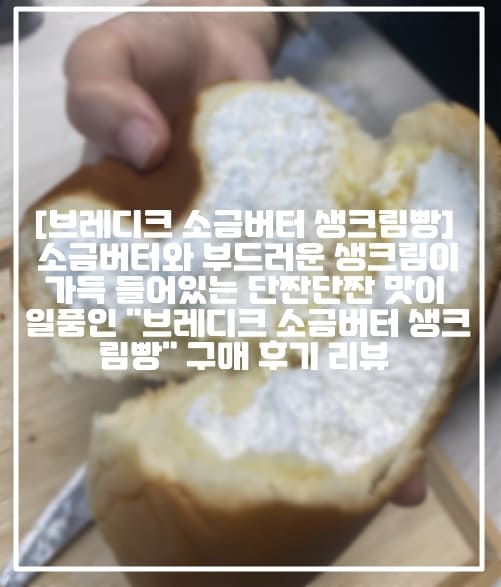 [GS25 브레디크 소금버터 생크림빵 후기] 소금버터와 부드러운 생크림이 가득 들어있는 단짠단짠 맛이 일품인 "브레디크 소금버터 생크림빵" 구매 후기 리뷰 (+GS25 빵 추천, 브레디크 빵 추천, 브레디크 소금버터 생크림빵 후기, GS25 생크림빵 추천, 편의점 생크림빵 추천, 편의점 맛있는 빵 추천, 편의점 소금 생크림빵, GS 편의점 빵 추천, 편의점 신상 생크림빵 추천, 지에스 신상 빵 추천, GS25 편의점 디저트 빵 추천)