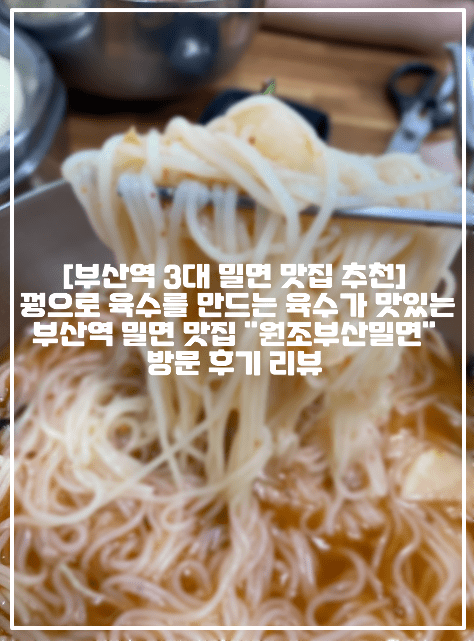 [부산역 3대 밀면 맛집 추천] 꿩으로 육수를 만드는 육수가 맛있는 부산역 밀면 맛집 "원조부산밀면" 방문 후기 리뷰 (+부산 밀면 맛집 추천, 초량역 밀면 맛집 추천, 부산 초량 밀면 맛집 추천, 부산 초량 점심 맛집 추천, 부산역 점심 맛집 추천, 부산 3대 밀면 맛집 추천, 부산 밀면 맛집 원조부산밀면, 밀면 맛집 원조부산밀면, 초량역 인근 점심 맛집, 초량역 인근 밀면 맛집, 부산역 국수 맛집 추천, 부산역 물밀면 맛집 추천, 초량역 물밀면 맛집 추천, 부산 3대 물밀면맛집)