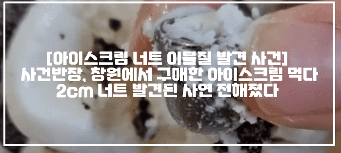 [아이스크림 너트 이물질 발견 사건] 사건반장, 창원에서 구매한 아이스크림 먹다 2cm 너트 발견된 사연 전해졌다 (+너트 아이스크림 사진, 아이스크림 너트 이물질, 사건반장 아이스크림 너트 사건, 아이스크림 볼트 이물질 사건, 아이스크림 먹다 이물질 발견, 아이스크림 촬영하며 꺼내보니 너트, 사건반장 아이스크림 볼트 너트, 아이스크림 2cm 너트, 아이스크림 이물질 사건)