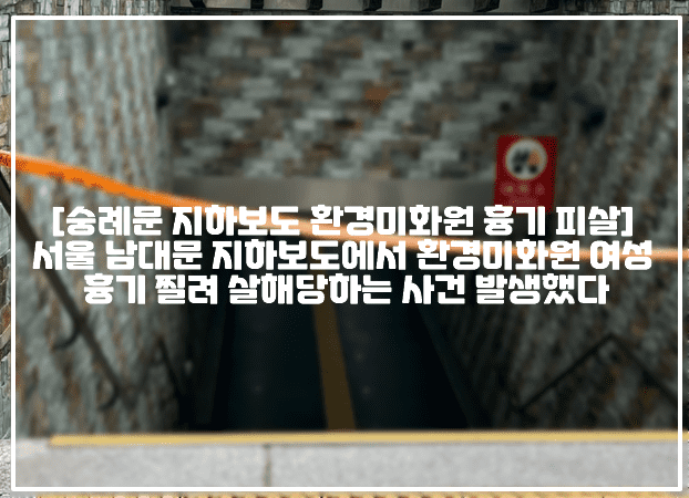 [숭례문 지하보도 환경미화원 흉기 피살] 서울 남대문 지하보도에서 환경미화원 여성 흉기 찔려 살해당하는 사건 발생했다 (+CCTV 영상, 현장사진, 서울 숭례문 흉기 칼부림 사고, 서울 남대문 흉기 칼부림 사고, 서울 지하보도 살인사건, 서울 숭례문 살인사건, 서울 남대문 지하보도 살인사건, 서울 숭례문 지하보도 살인사건, 서울 환경미화원 칼부림 사망사건, 지하도로 환경미화원 칼부림 사망, 숭례문 노숙자 칼부림 사고)