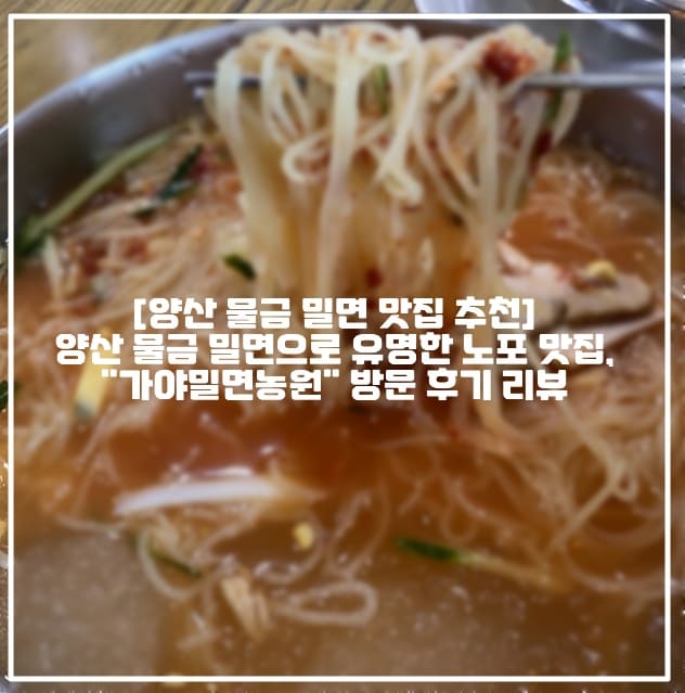 [양산 물금 밀면 맛집 추천] 오랜전통이 있는 양산 물금 밀면으로 유명한 노포 맛집, "가야밀면농원" 방문 후기 리뷰 (+양산 물금 밀면 맛집, 양산 석산 밀면 맛집 추천, 양산 사송 밀면 맛집 추천, 양산 SNS 밀면 맛집, 양산 인스타그램 밀면 맛집, 양산 밀면 노포 맛집 추천, 양산 가야밀면농원, 양산 노포 냉면 맛집 추천, 양산 땡초냉면 맛집, 양산 땡초밀면 가야밀면농원, 부산 근교 노포 밀면 맛집, 부산 노포 밀면 맛집, 양산 밀면 맛있는 곳, 양산 밀면 유명한 곳 추천, 양산 줄서서 먹는 밀면 맛집)