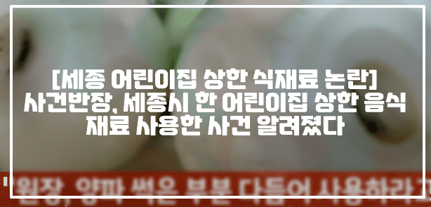 [세종시 어린이집 상한 식재료 급식 논란] 세종시 한 어린이집에서 상한 음식 재료 조리사에게 활용하라고 지시한 원장 사건 알려졌다 (+세종 어린이집 어디, 세종 국공립 어린이집 상한 음식 식재료, 상한 음식 식재료 어린이집, 사건반장 불량 식재료 어린이집, 사건반장 어린이집 상한 음식 재료 사용 논란, 사건반장 긴축재정 어린이집, 썩은 양파 어린이집, 어린이집 급식 상한 식재료, 상한 멜론 어린이집, 상한 식재료 어린이집, 썩은 음식 어린이집, 썩은 식재료 어린이집)