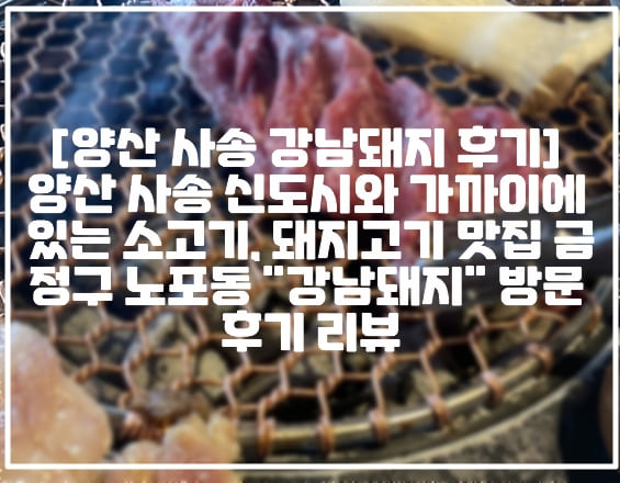 [양산 사송 강남돼지 후기] 양산 사송 신도시와 가까이에 있는 소고기, 돼지고기 맛집 금정구 노포동 "강남돼지" 방문 후기 리뷰 (+양산 사송 돼지고기 맛집 추천, 양산 사송 소고기 맛집 추천, 양산 사송 한우 맛집 추천, 부산 금정구 소고기 맛집 추천, 금정구 한우 맛집 추천, 금정구 돼지고기 맛집 추천, 부산 노포동 삼겹살 맛집 추천, 노포동 소고기 맛집 추천, 노포동 소고기집 추천, 노포사송로 맛집 추천, 사송신도시 고기 맛집 추천, 사송 소고기집 추천, 사송 돼지고기집 추천)