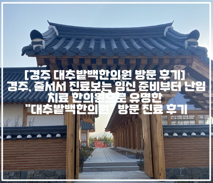 [경주 대추밭백한의원 방문 후기] 경주, 줄서서 진료보는 임신 준비부터 난임 치료 한의원으로 유명한 "대추밭백한의원" 방문 진료 후기 (+경주 대추밭백한의원 가격 정보, 경주 대추밭백한의원 후기, 경주 대추밭백한의원 한약 후기, 경주 난임 한의원 추천, 난임 유명한 한의원 추천, 경주 불임 한의원 추천, 경주 유산 한약 추천 대추밭백한의원, 경주 산후 보약 대추밭백한의원, 유산 소파술 후 보약 대추밭백한의원, 소파술 한약 추천, 소파술 보약 추천, 임신 보약 한의원 추천, 경주밭백한의원 유산 한약 보약, 더안 난 차 후기, 더안 뉘 차 후기, 대추밭백한의원 4대 원장님 진료 시간, 대추밭백한의원 5대 백진호 원장님 진료 후기, 대추밭백한의원 바우처 결제)