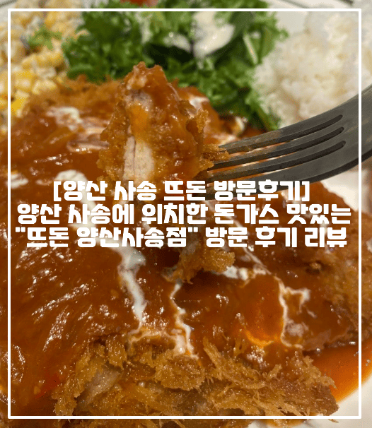 [양산 사송 뜨돈 방문후기] 양산 사송에 위치한 돈가스 맛있는 "뜨돈 양산사송점" 방문 후기 리뷰 (+양산 사송 돈가스 맛집 추천, 양산 사송 옛날돈가스 맛집 추천, 양산 사송 신도시 돈가스 맛집 추천, 양산 사송 점심 맛집 추천)