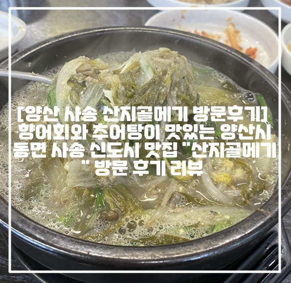 [양산 사송 산지골메기 방문후기] 향어회와 추어탕이 맛있는 양산시 동면 사송 신도시 맛집 "산지골메기" 방문 후기 리뷰 (+양산 사송 맛집 추천, 양산 향어회 맛집 추천, 양산 사송 추어탕 맛집 추천, 양산 노포 추어탕 맛집, 사송 추어탕 맛있는 곳, 양산 사송 추어탕 전문점, 양산 사송 향어 매운탕 전문점 추천, 추어탕 효능, 양산 가마솥 추어탕 맛집)