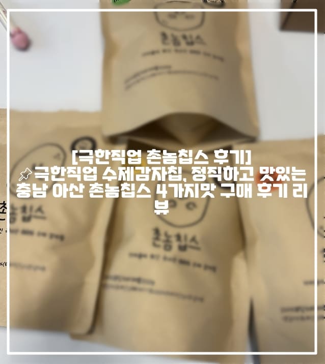 극한직업 감자칩, 극한직업 수제감자칩, 아산 수제감자칩, 극한직업 맛집 추천, 수제 촌놈칩스, 촌놈칩스 감자칩 후기