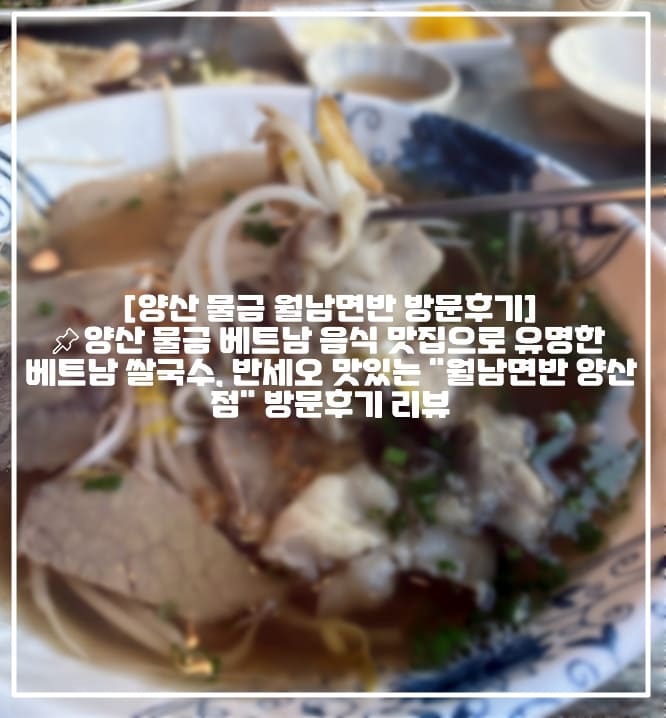 [양산 물금 월남면반 방문후기]📌양산 물금 베트남 음식 맛집으로 유명한 베트남 쌀국수, 반세오 맛있는 "월남면반 양산점" 방문후기 리뷰 (+양산 베트남음식 맛집 추천, 양산 쌀국수 맛집 추천, 양산 물금 베트남 음식 맛집 추천, 양산 반세오 맛집 추천, 양산 베트남 쌀국수 잘하는곳 추천)